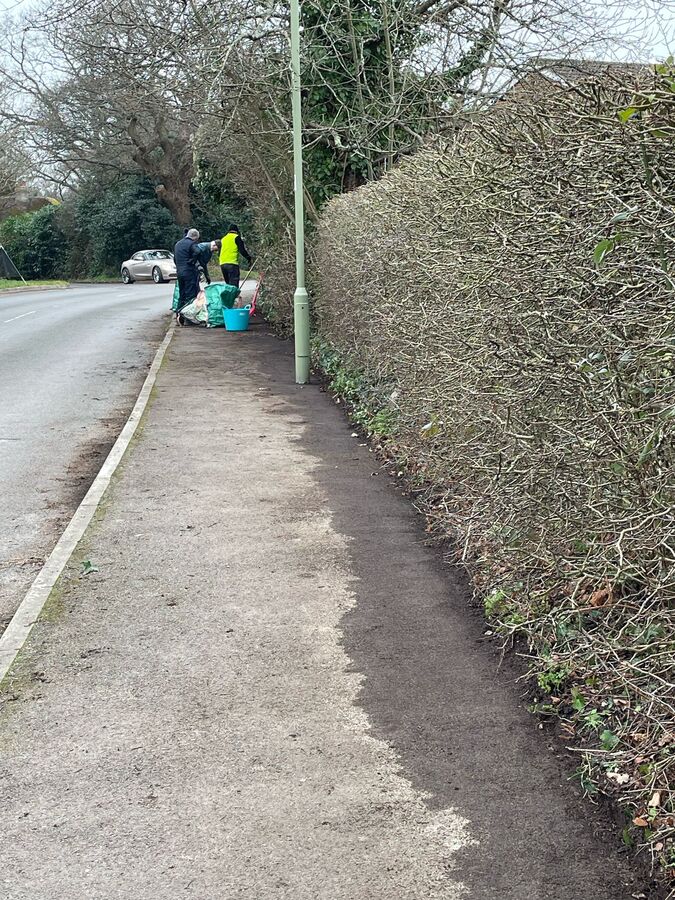 St Francis Verge Clearing  130225